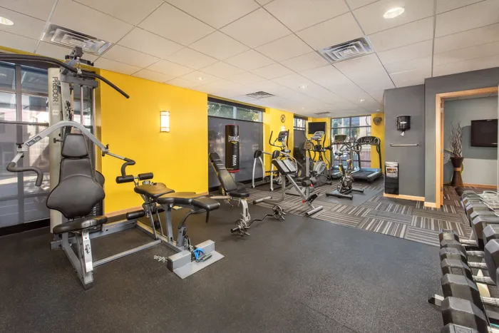 24 Hour Fitness Gym