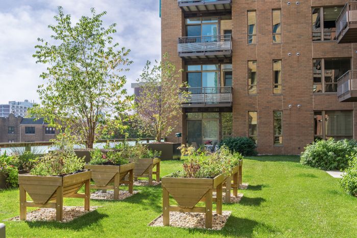 Community Garden