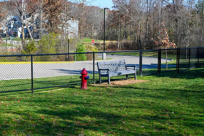 Dog Park