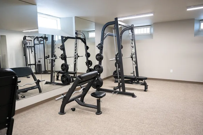 Sleek and modern apartment gym featuring high-quality exercise equipment and mirrored walls for an enhanced workout experience.