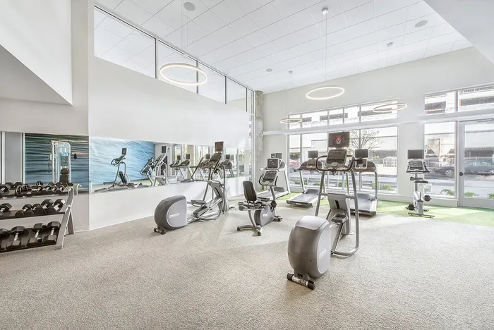 Modern apartment gym with natural light, equipped with treadmills, ellipticals, and free weights, perfect for fitness enthusiasts.