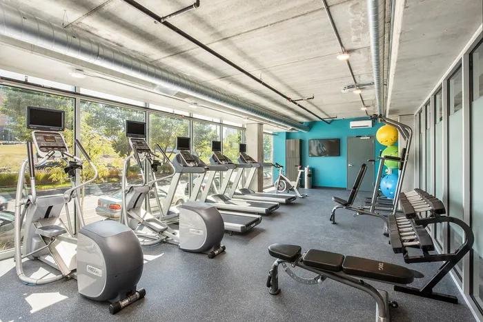 Modern fitness center with large windows, featuring treadmills, elliptical machines, free weights, and a vibrant blue accent wall.