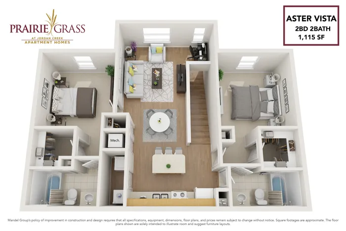 Aster Vista