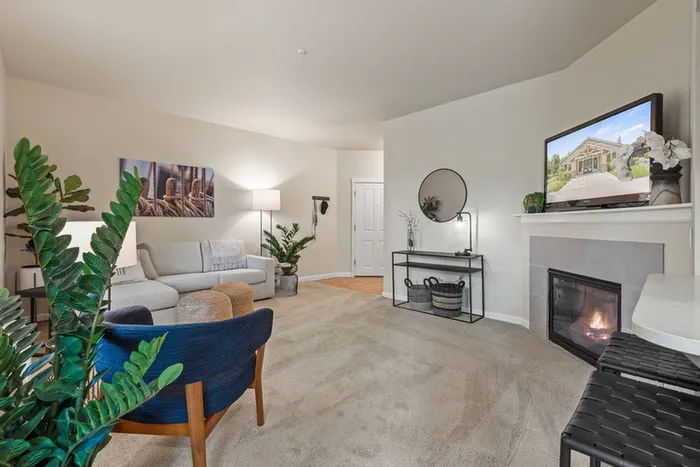 apartment with fireplace