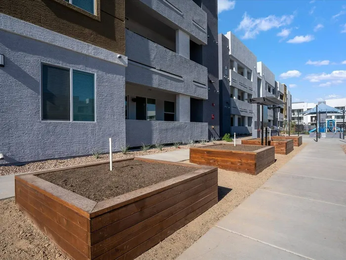 Apartments for Rent in Glendale, AZ - Acero at the Stadium - Community Garden with Four Wooden Gardening Spots