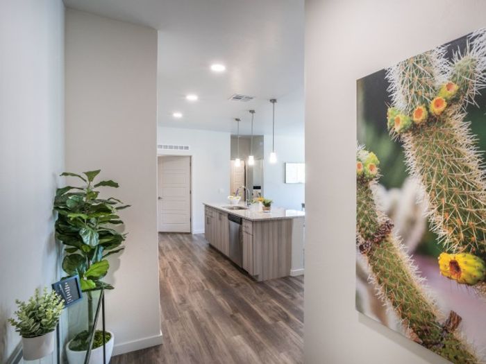 acero apartments in AZ