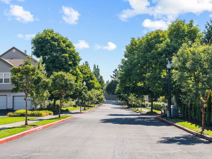 luxury modern apartments for rent near me