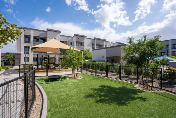 Outdoor grass and play structure