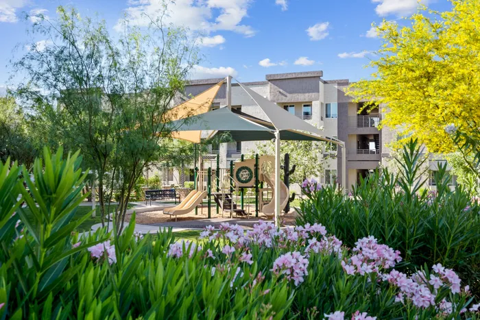 North Phoenix, AZ, Apartments Near USAA - Acero North Valley - A Playground with a Shaded Playground, Lush Greenery, Flowering Plants, and Residential Buildings.