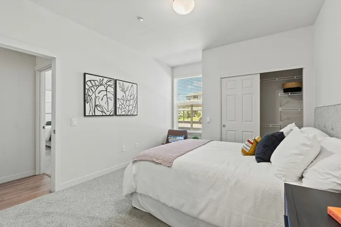 apartments for rent with bright bedrooms