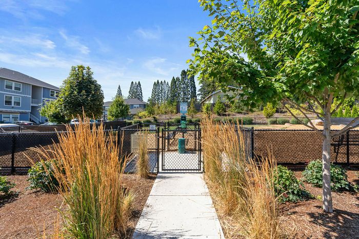 pet friendly apartments in west salem
