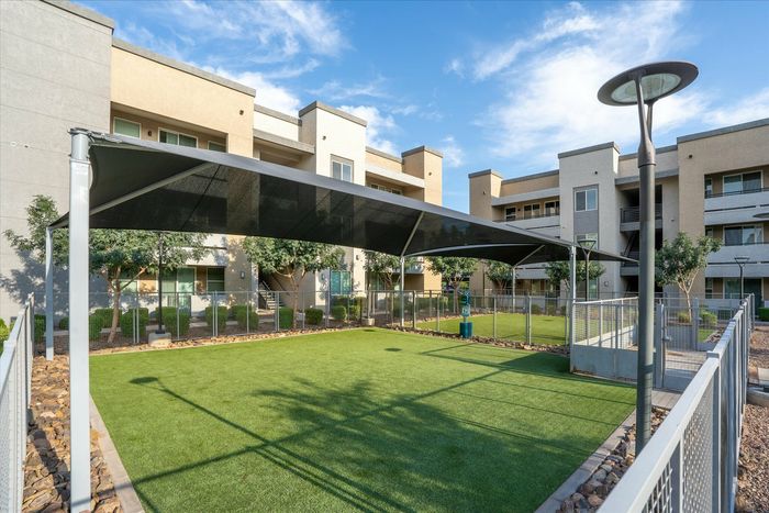 pet friendly apartments phoenix