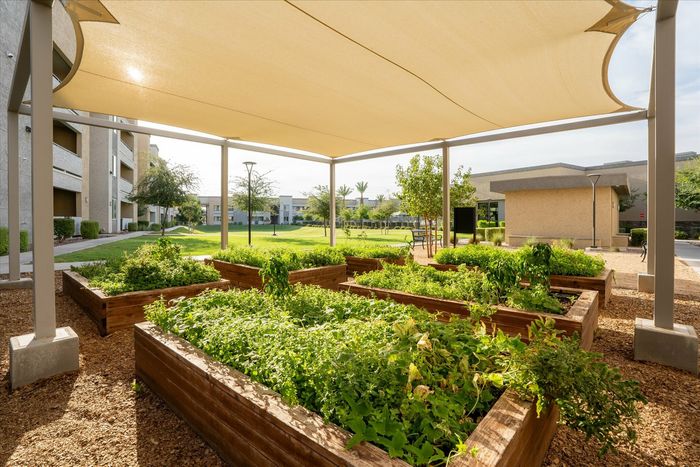 Acero apartments