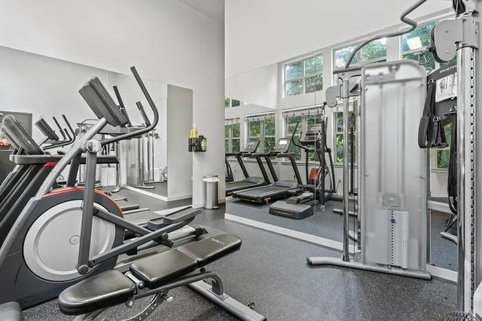 Modern gym in luxury apartment with high-end equipment and scenic windows.