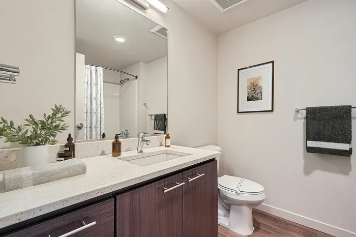 Elegant bathroom with sleek wooden cabinets, a modern countertop, and stylish decor, offering a serene and inviting space.