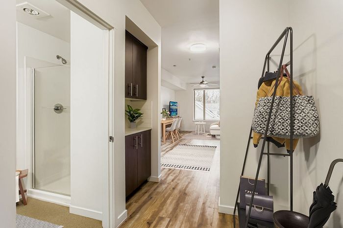 studio with wood vinyl flooring and pet-friendly
