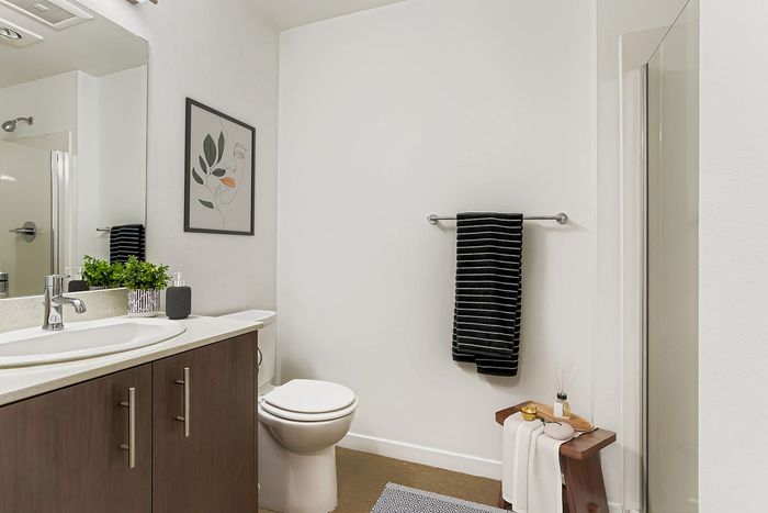 Elegant bathroom with modern features
