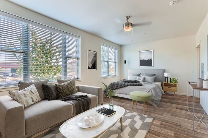 Bright and inviting studio apartment featuring a cozy living area, modern decor, and a large window with abundant natural light.