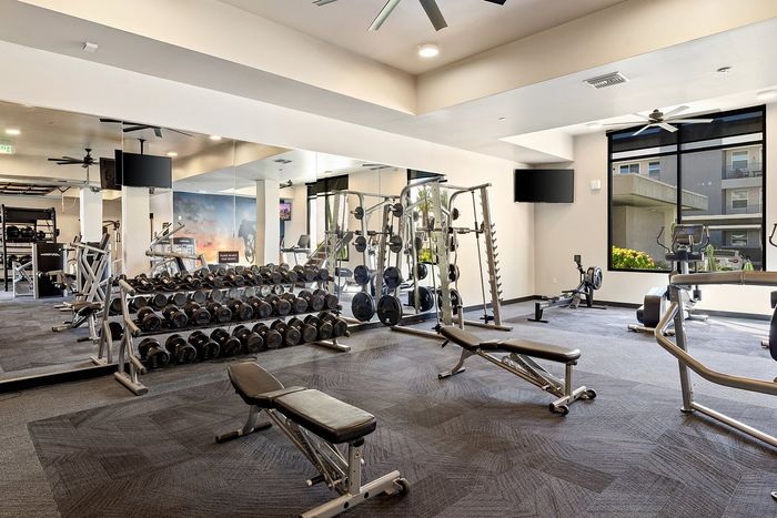 Modern gym with state-of-the-art exercise machines, free weights, and spacious workout area, ideal for fitness enthusiasts.