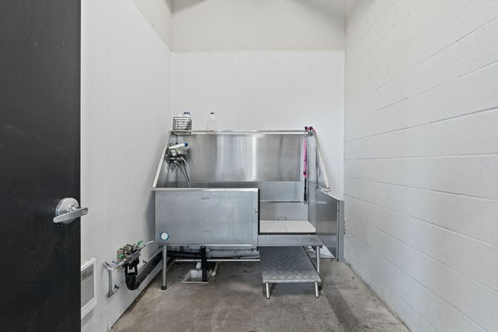 Pet Washing Station