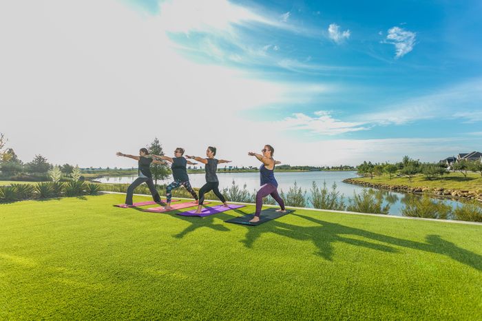 Event Lawn at Harvest