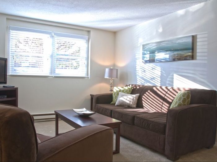 This thoughtfully designed living room maximizes comfort and functionality with smart layout choices. | Princeton Dover Apartments |