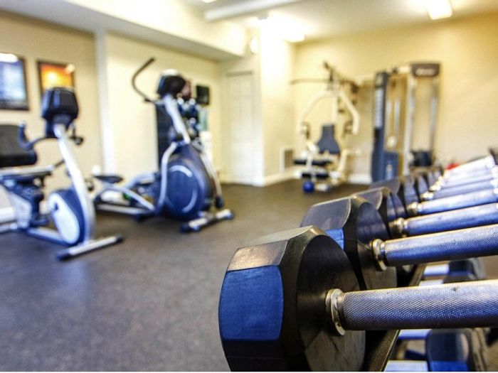 Fully equipped modern fitness center featuring state-of-the-art cardio and weight equipment at our welcoming apartments in Dracut, MA. | Princeton Reserve | Apartments in Dracut MA