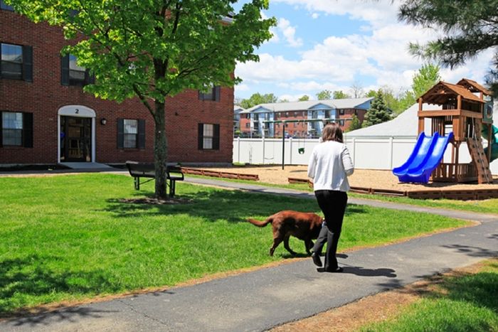 Welcoming pet-friendly environment at Princeton Place our apartments for rent in Worcester Ma