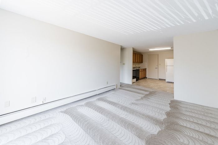 Bright, open-concept living space with fresh carpet and a cozy kitchen, perfect for modern living.