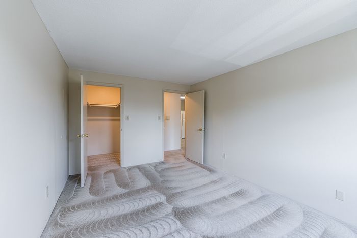 Bright, spacious room with plush carpet, highlighting two doors leading to a closet and a cozy kitchen area.