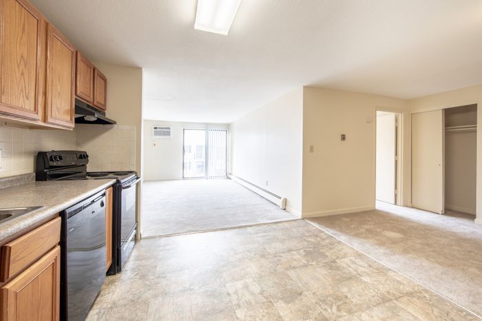 Inviting open-concept apartment featuring a modern kitchen, spacious living area, and large windows for natural light.
