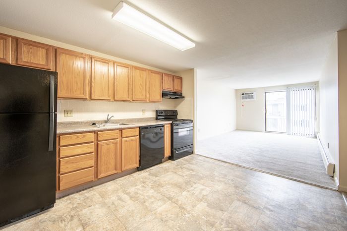 Bright and airy apartment showcasing a modern kitchen with oak cabinets, sleek black appliances, and an inviting open-concept living area with large patio doors.