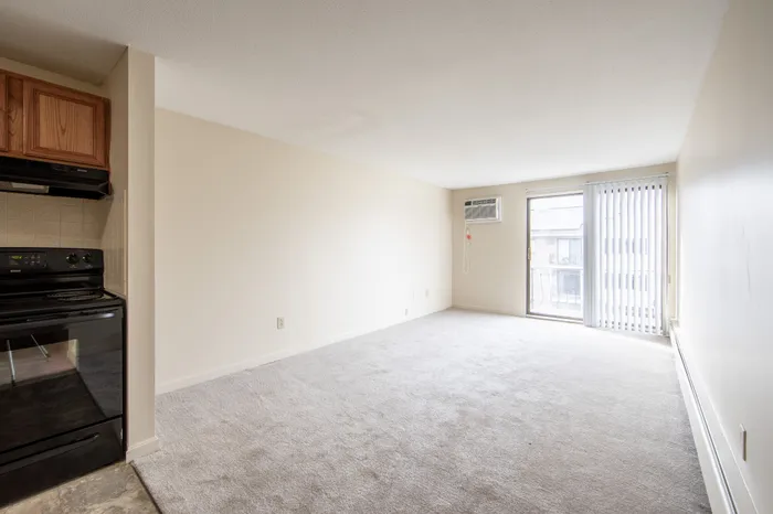 Bright, spacious apartment with plush carpeting, modern kitchen, and large sliding glass doors leading to a private balcony.