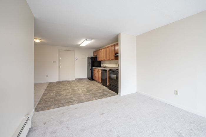 Bright open-plan apartment with modern kitchen, elegant cabinetry, and cozy living space.