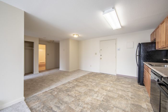 Inviting open-concept apartment interior with seamless transition from kitchen to carpeted living area, featuring modern appliances and bright natural lighting.