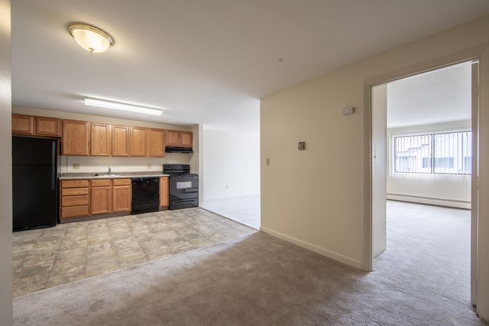 Bright apartment with modern kitchen featuring warm wood cabinets, black appliances, and tile flooring leads to a spacious living area with large windows and ample natural light.