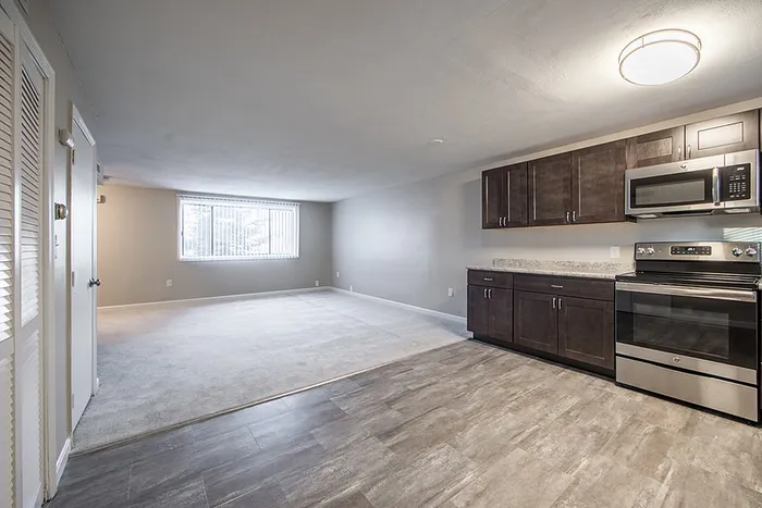 Modern open-plan apartment featuring elegant kitchen cabinetry and spacious living area with carpet and hardwood floors.