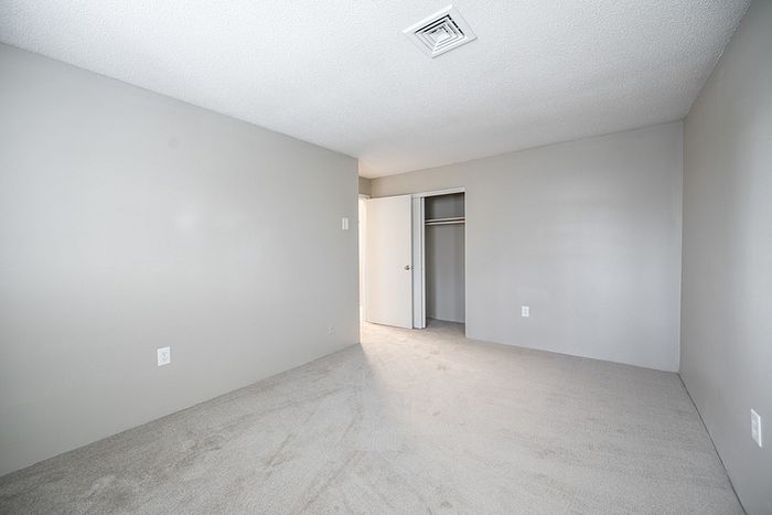 Spacious and bright empty room with soft carpet flooring and neutral gray walls, featuring an open closet and a hint of natural light streaming in.