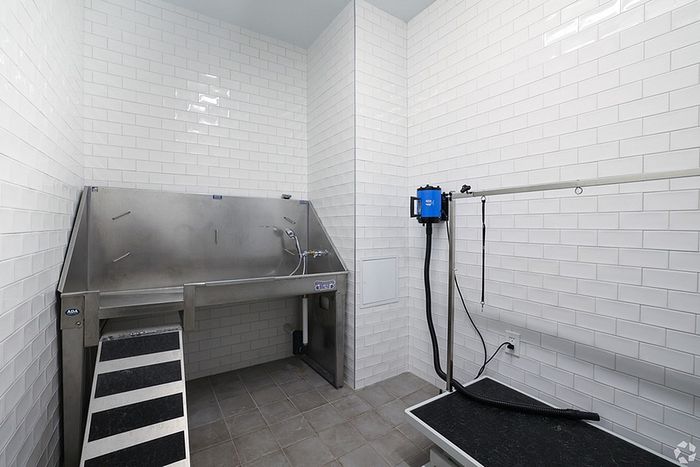 A clean, white-tiled Pet Spa room at The James Apartments in Haverhill MA features a stainless-steel washing station, black ramp, grooming table, and an air-drying hose&mdash;perfectly designed for pet grooming and bathing. | The James | Apartment in Haverhill, MA