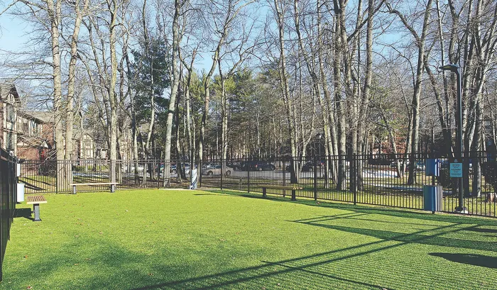 Vibrant fenced outdoor area with lush green grass and surrounding tall trees, ideal for relaxation and enjoyment.| The Royal Crest | Apartment in North Andover, MA