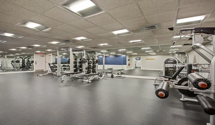 A modern gym facility offers high-end weight stations and expansive windows, providing a bright space to stay active. | The Royal Crest | Apartment in North Andover, MA