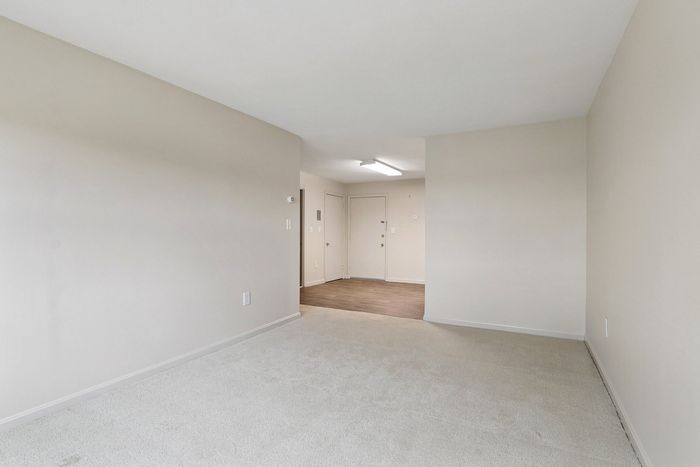 Bright, open-concept apartment entryway with modern neutral tones and plush carpet, leading to a welcoming space perfect for personalization.