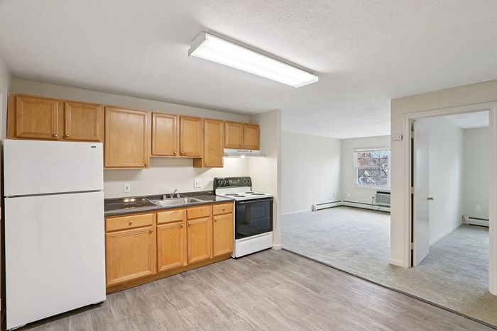 Inviting open-plan kitchen and living area with modern wooden cabinets, sleek countertops, and abundant natural light.