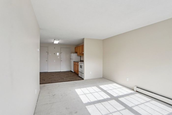 Bright, open-concept living space with modern kitchen, featuring hardwood floors and abundant natural light.