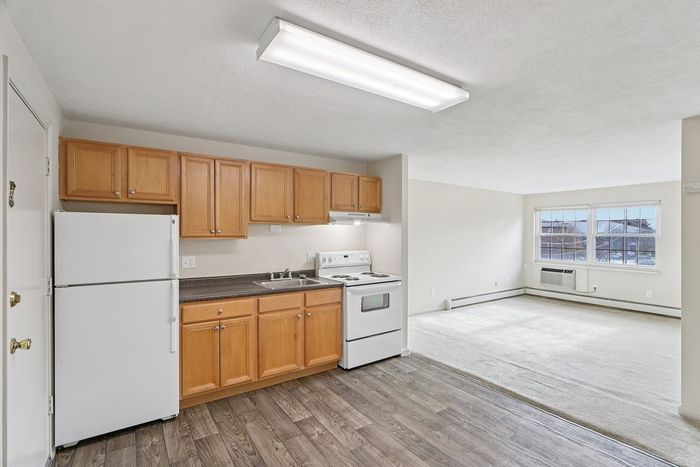 Bright and inviting open-concept apartment with modern kitchen featuring elegant wooden cabinets, spacious living area with large windows providing ample natural light.