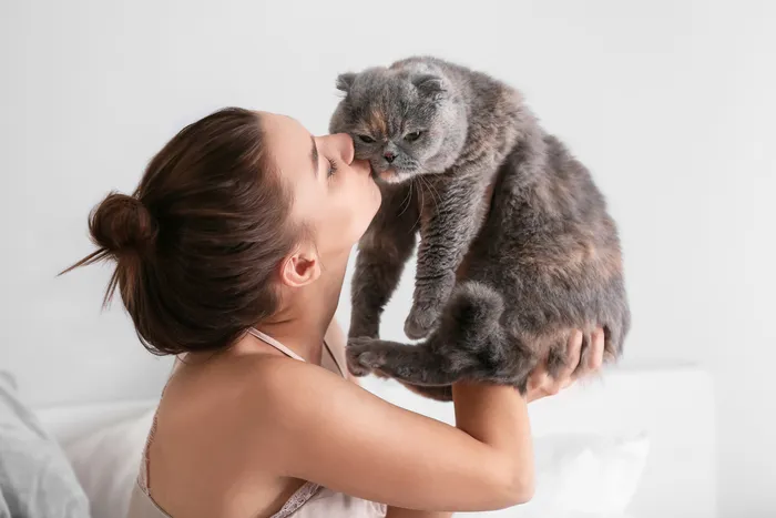 Charming moment of a woman lovingly embracing a fluffy gray cat in a serene bedroom setting.