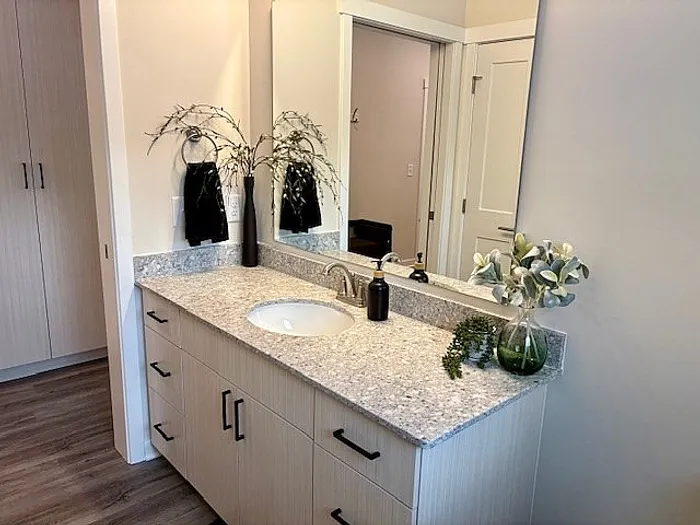 Modern bathroom with elegant granite countertop, stylish sink, and chic decor; perfect blend of functionality and contemporary design.