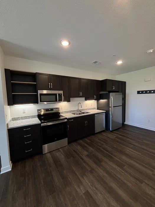 Sleek modern kitchen featuring dark wood cabinetry, stainless steel appliances, and elegant granite countertops.