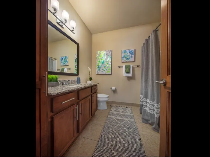 Elegant Bathroom | Apartments in Middleton, WI | Brownridge Terrace