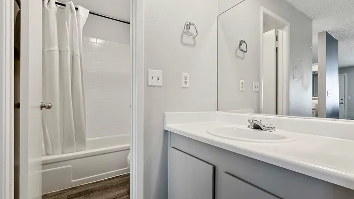 Elegant bathroom featuring a modern sink, large mirror, and bathtub with shower curtain.